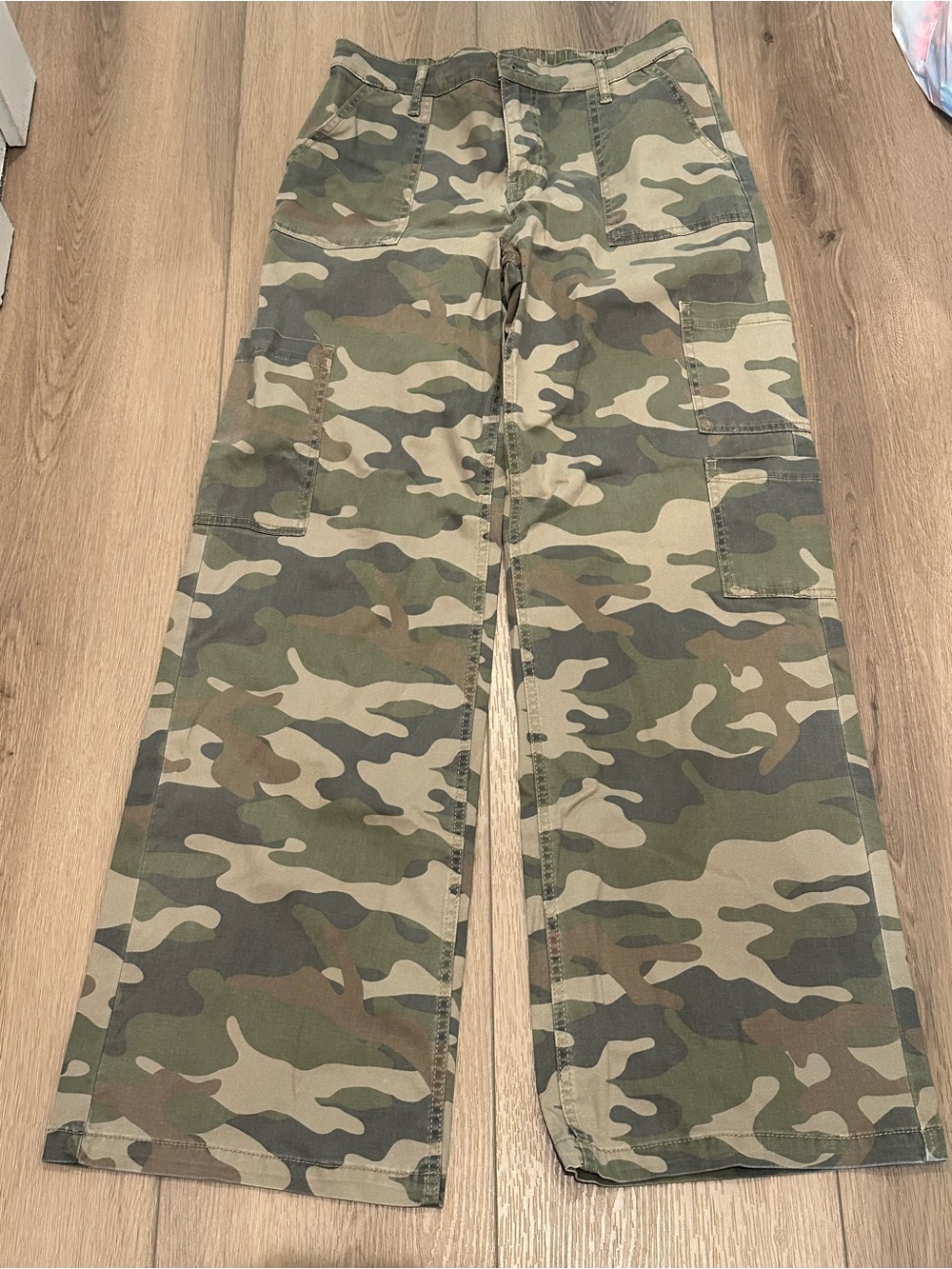 No Boundaries Camo Cargo Pants - Green/Tan